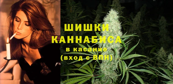 стафф Новосибирск